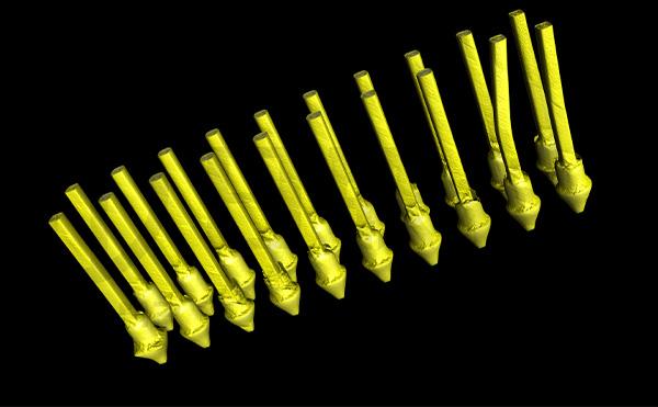 1772605680166549.jpg 平面CT.jpg