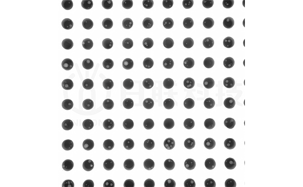 1772605906127659.png bga增强后(带水印).png