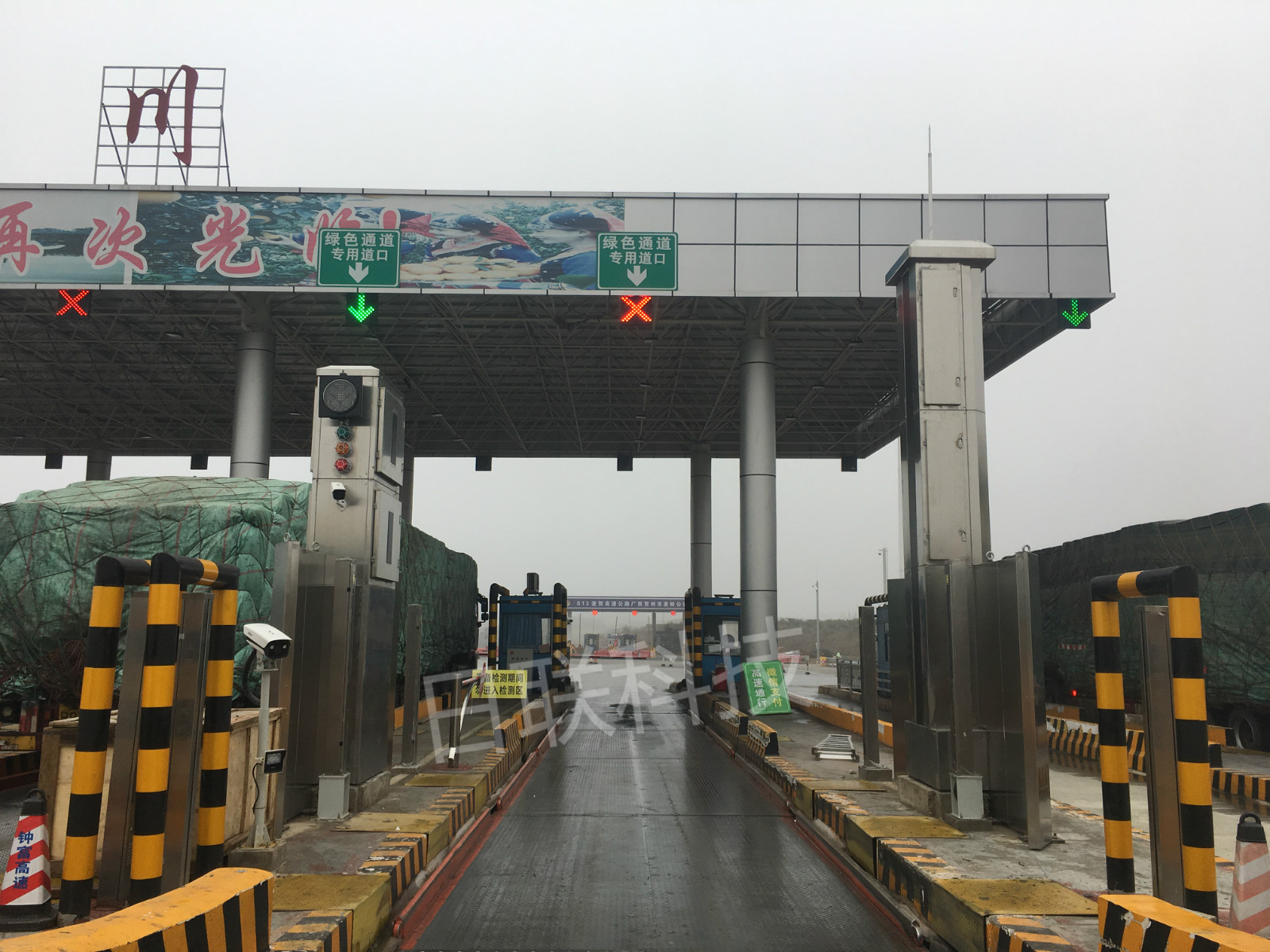 ng28.com科技绿色通道快检系统